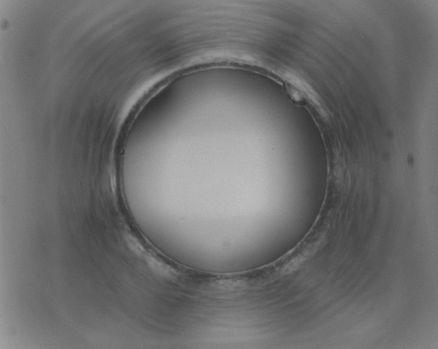 X0000075840888200610061844