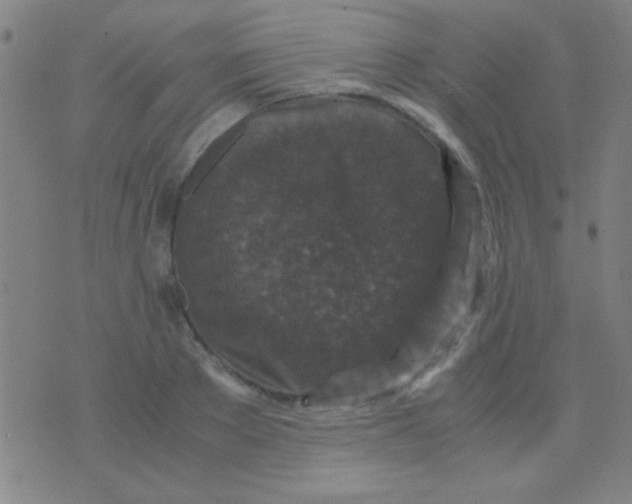 X0000075840889200610061844