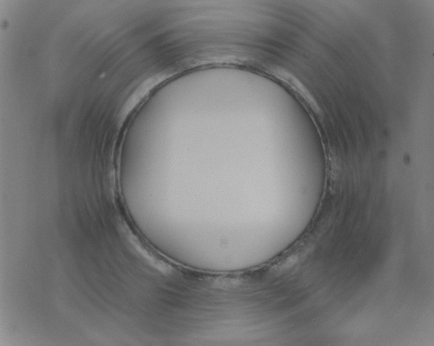 X0000075840890200610061844