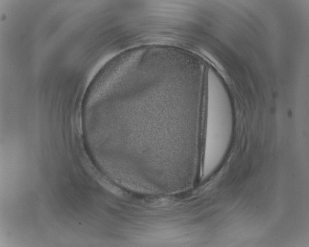 X0000075840891200610061844