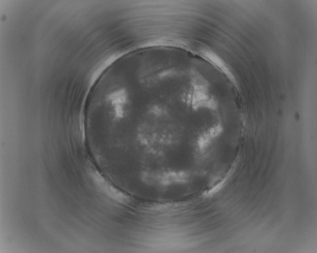 X0000075840892200610061844