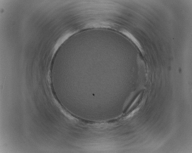 X0000075840893200610061844