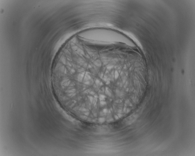 X0000075840895200610061844