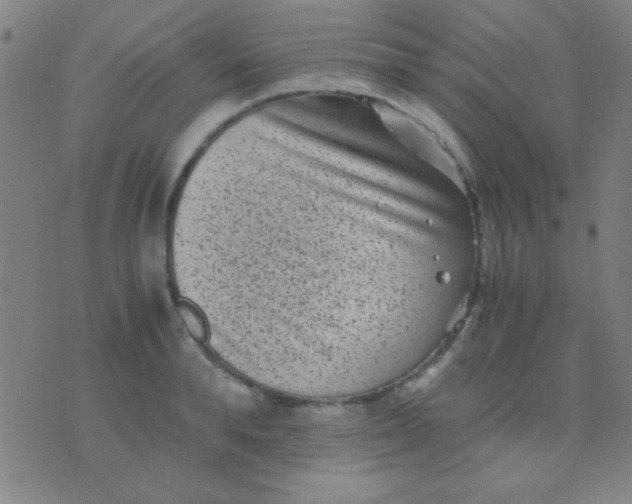 X0000075840896200610061844