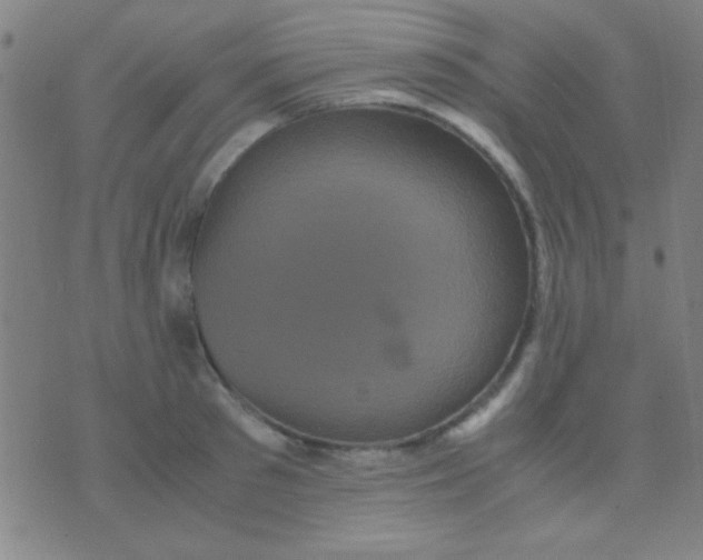 X0000075840897200610061844