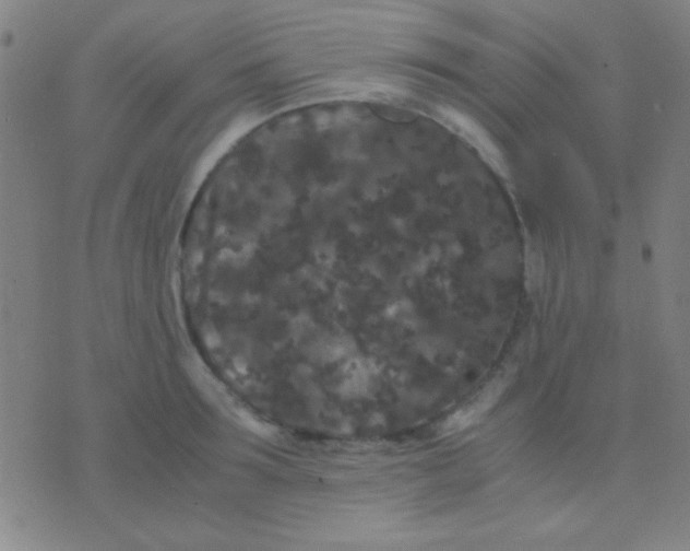 X0000075840899200610061844