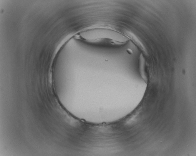 X0000075840900200610061844