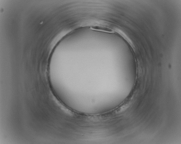 X0000075840901200610061844