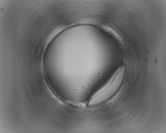 X0000075840902200610061844