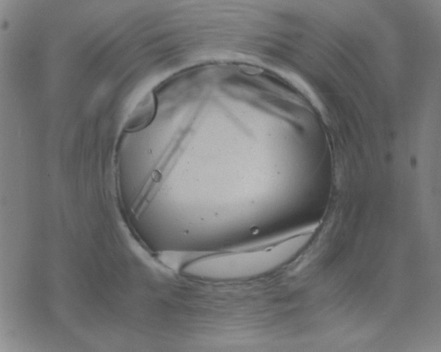 X0000075840903200610061844