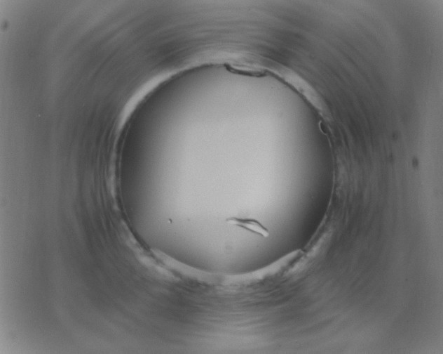 X0000075840904200610061844