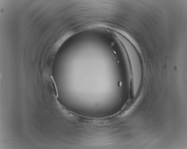 X0000075840905200610061844