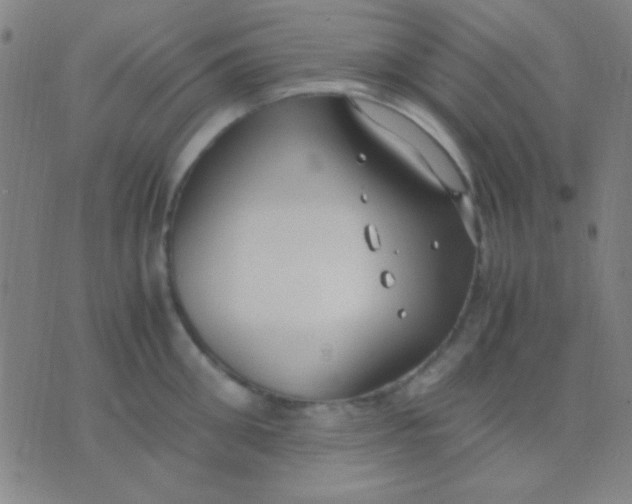 X0000075840906200610061844