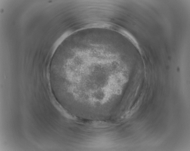 X0000075840907200610061844