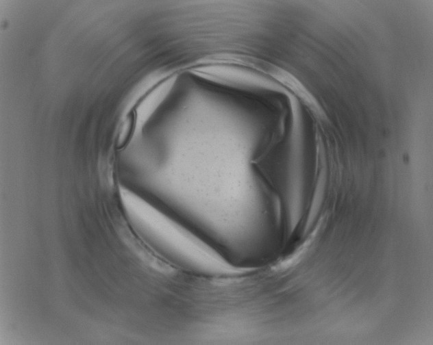 X0000075840908200610061844