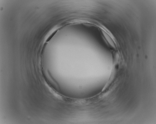 X0000075840909200610061844