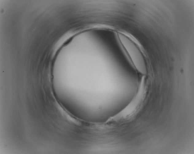 X0000075840910200610061844