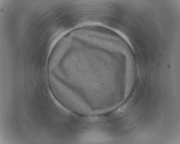 X0000075840911200610061844