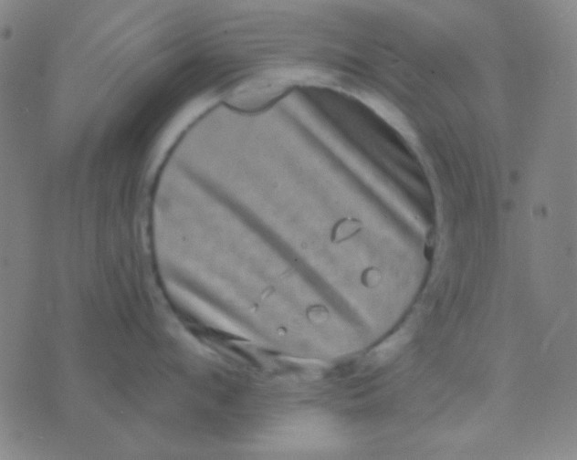 X0000075840912200610061844