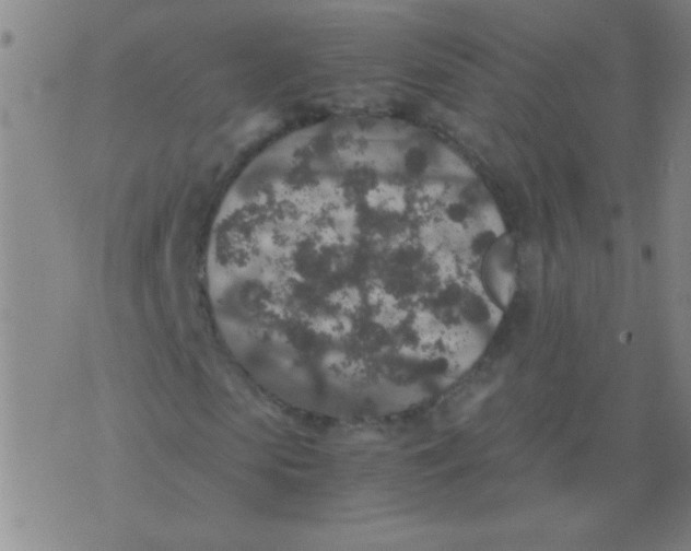 X0000075840913200610061843