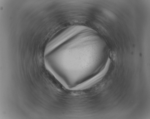 X0000075840915200610061843