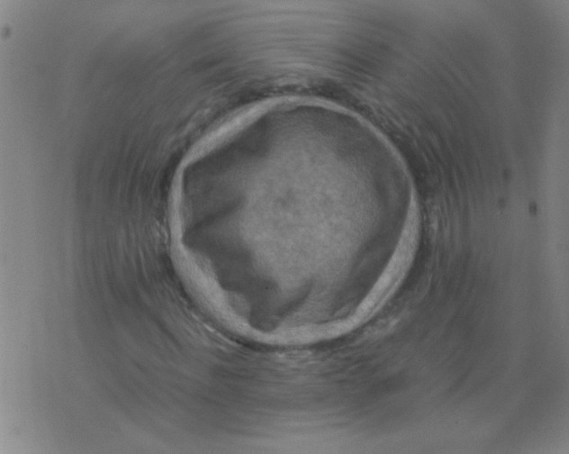 X0000075840916200610061843