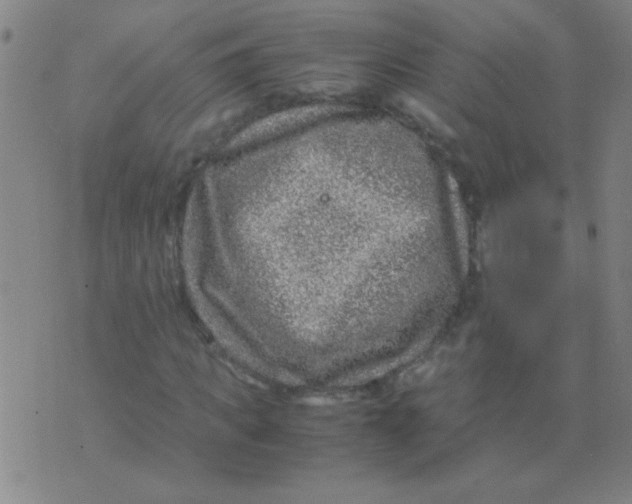 X0000075840917200610061843