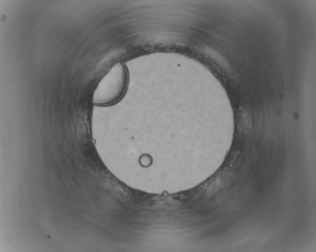 X0000075840918200610061843