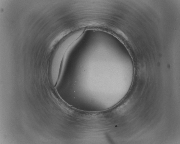 X0000075840922200610061843