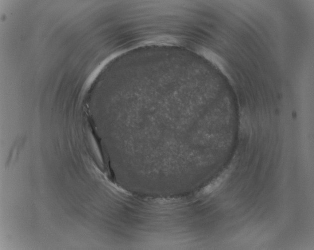 X0000075840923200610061843