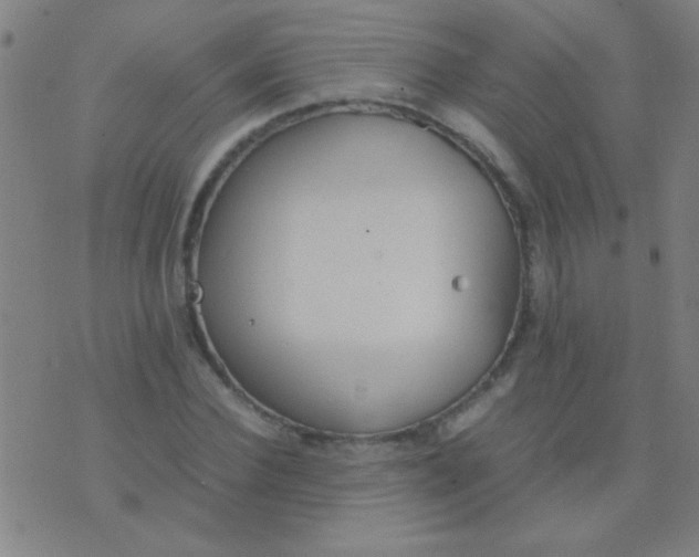 X0000075840924200610061843