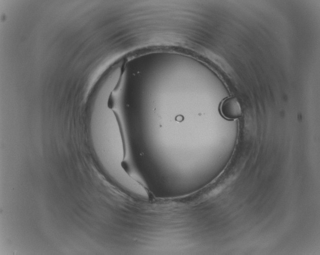 X0000075840926200610061843