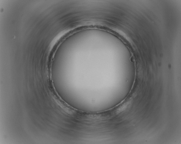 X0000075840927200610061843