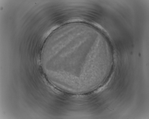 X0000075840929200610061843