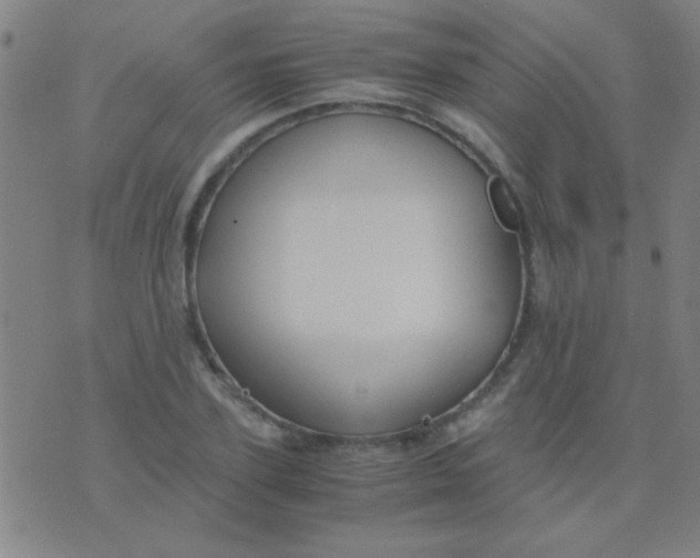 X0000075840931200610061843