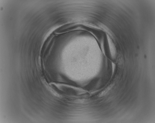 X0000075840932200610061843