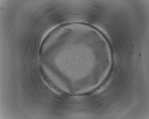 X0000075840933200610061843