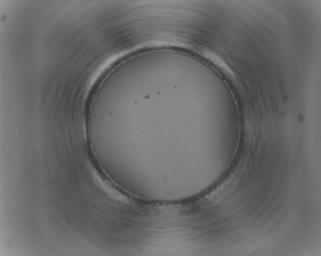 X0000075840934200610061843