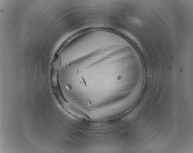 X0000075840935200610061843