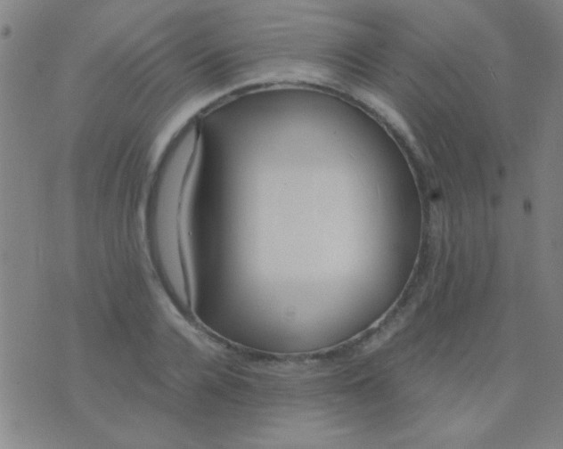 X0000075840936200610061843