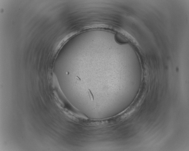 X0000075840937200610061843