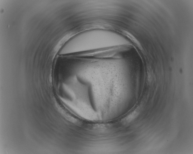 X0000075840938200610061843