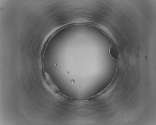 X0000075840939200610061843