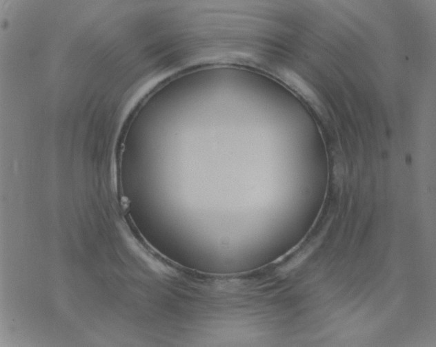 X0000075840940200610061843