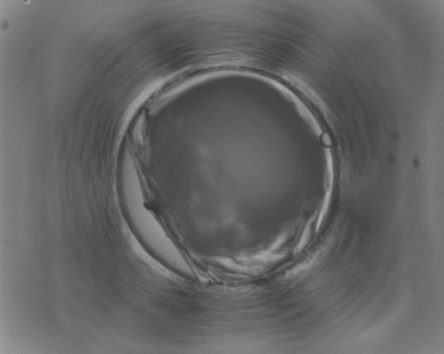 X0000075840941200610061843