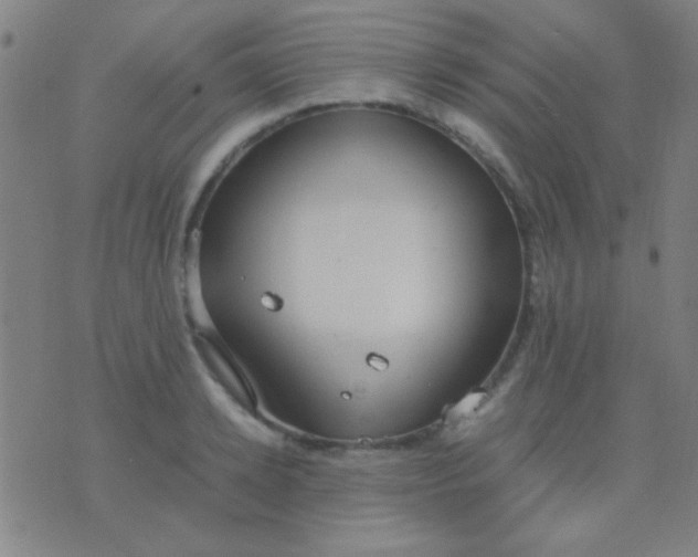 X0000075840942200610061843