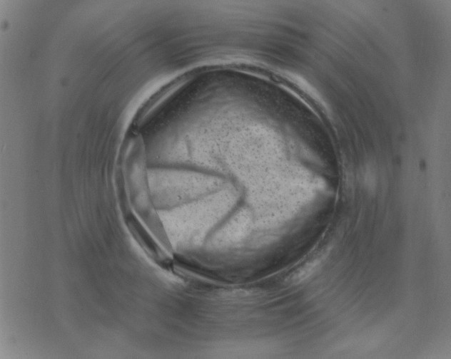 X0000075840943200610061843