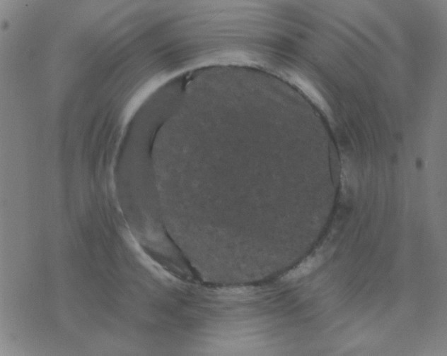 X0000075840944200610061844