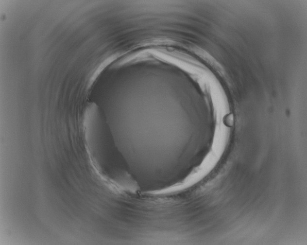 X0000075840945200610061844