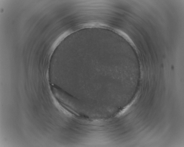 X0000075840946200610061844